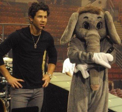 joe-jonas-elephant_1.jpg